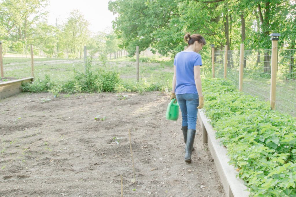 Gardening 101 - Raised Beds