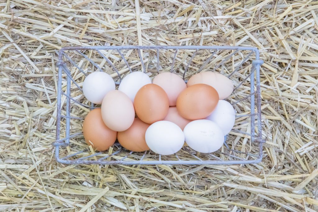 Wire Basket With Eggs