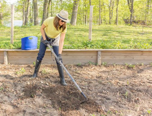 Gardening 201