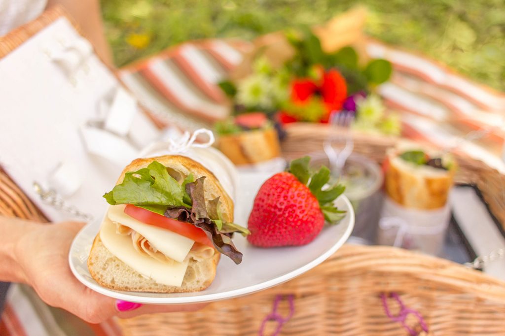 Picnic Sandwich